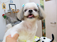 DSCF8146[1]_thumb.png
